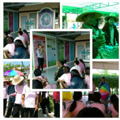 phichit 20151118 2