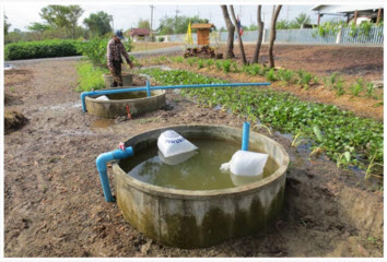 pondWater 20160120 2