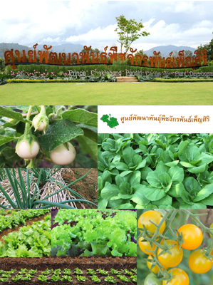 ศูนย์พัฒนาพันธุ์พืชจักรพันธ์เพ็ญศิริ