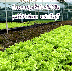 โครงการปลูกพืชโดยไม่ใช้ดิน จ.ปราจีนบุรี