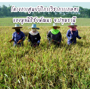 โครงการศูนย์บริการวิชาการเกษตรของมูลนิธิชัยพัฒนา ต.บึงทองหลาง อ.ลำลูกกา จ.ปทุมธานี