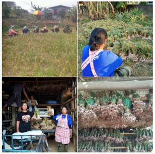 PhuSang 20190302 1