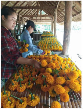 Phetchaburi 20190821 1