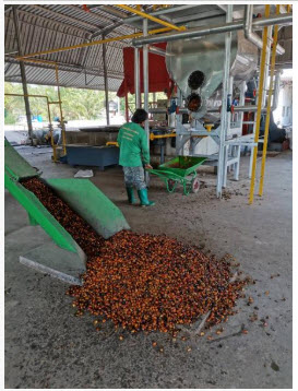 bioDiesel 20200514 2