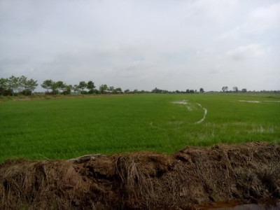 โครงการศูนย์ 100 ปี หม่อมหลวงบัว กิติยากร ต.บางสมบูรณ์ ... รูปภาพ 10