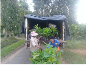 bioDiesel 20190216 6