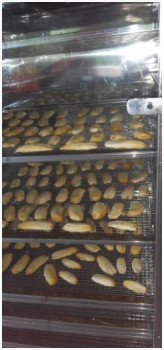 bioDiesel 20190618 2
