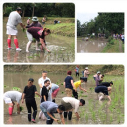 Phetchaburi 20190831 2