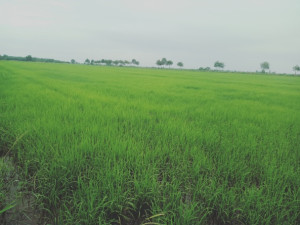 image074
