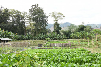 48377449 2323119131308006 8752365612275073024 n