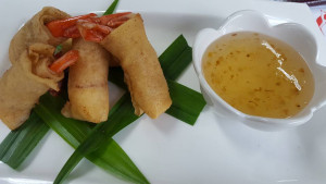 Rice 9